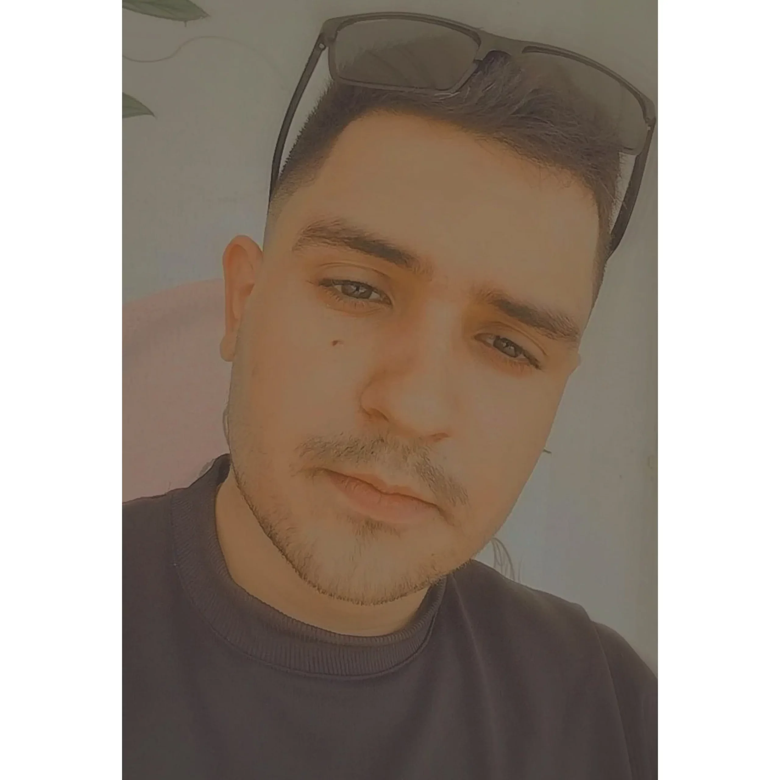 Felipe Mikeias, Especialista em SEO